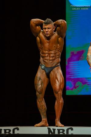 BODYBUILDING 102